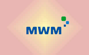 ✓ MWM 0404 0274 Запчасть MWM 